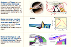 Hearing - Multimedia-Rich Lecture Notes